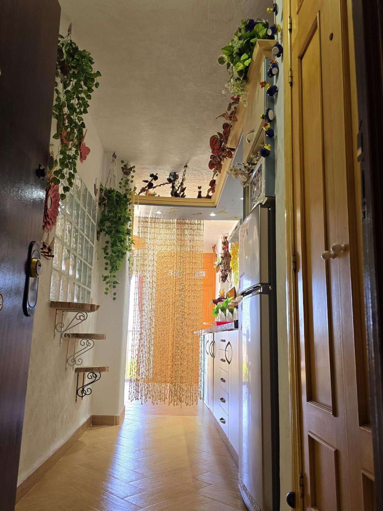 Apartment Paraiso!