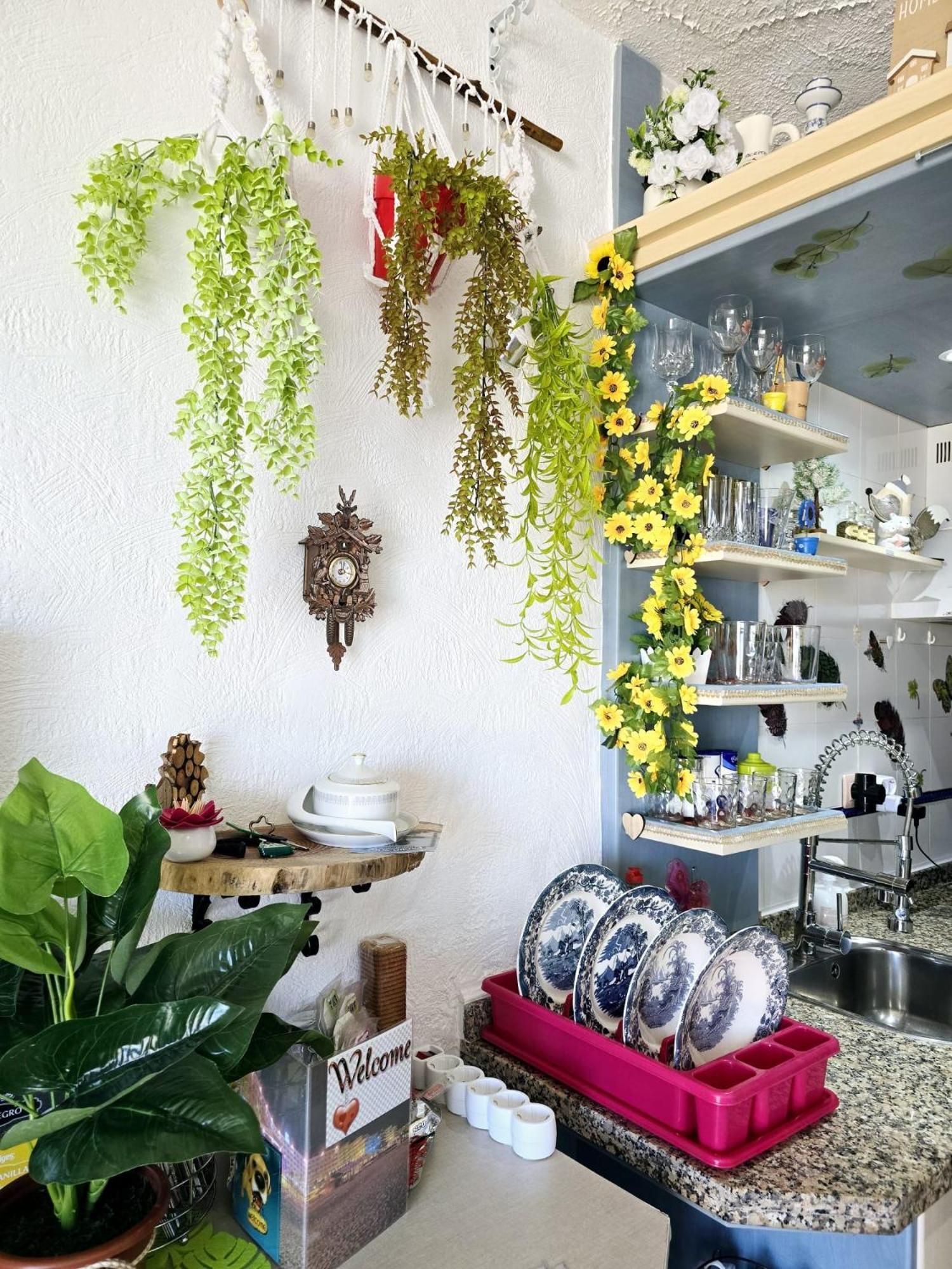 Paraiso! * Matalascanas